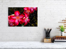 Load image into Gallery viewer, 4643531-1073887
