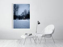 Load image into Gallery viewer, 4645071-1076518
