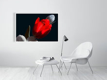 Load image into Gallery viewer, 4643580-1073959
