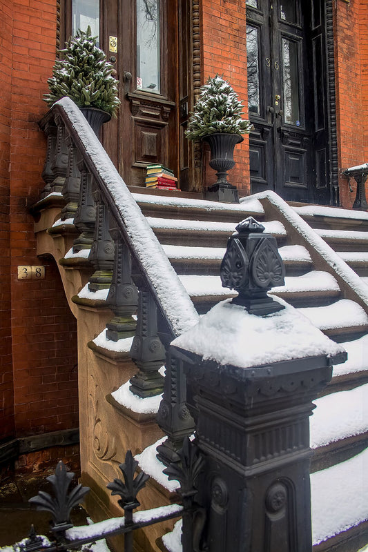 Libros sobre escaleras bajo la nieve en Brooklyn