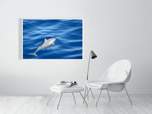 Load image into Gallery viewer, 4684324-1084959

