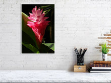 Load image into Gallery viewer, 4643573-1074003
