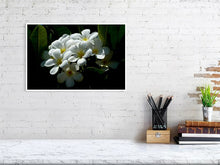 Load image into Gallery viewer, 4643591-1073972
