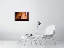 Load image into Gallery viewer, 4678831-1083286

