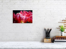 Load image into Gallery viewer, 4643562-1073918
