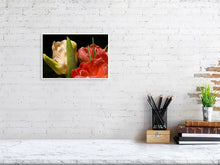 Load image into Gallery viewer, 4643585-1073968
