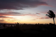 Cargar imagen en el visor de la galería, Lonely palm tree at sunset
