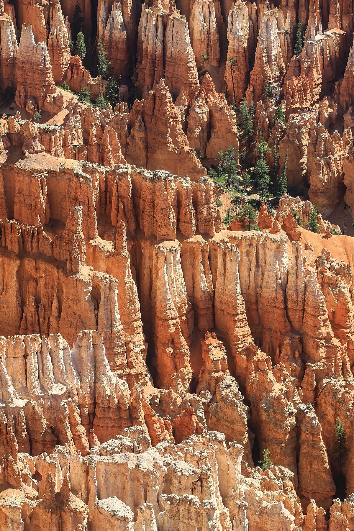Bryce Canyon gros plan II