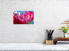 Load image into Gallery viewer, 4643570-1073933
