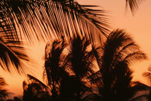 Cargar imagen en el visor de la galería, Pink Sunset in Hawaii
