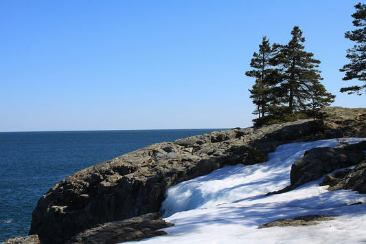 Acadia in winter