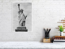 Load image into Gallery viewer, 4645069-1076516
