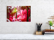 Load image into Gallery viewer, 4643551-1073902
