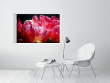 Load image into Gallery viewer, 4643562-1073914

