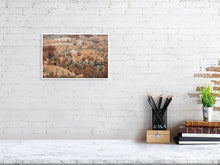 Load image into Gallery viewer, 4678763-1083057
