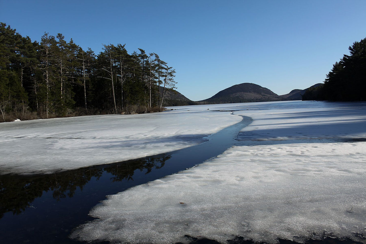 Icy landscape in Acadia