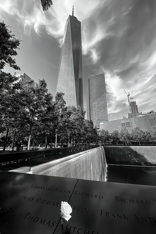 Rose blanche au World Trade Center