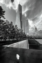Load image into Gallery viewer, White Rose at the World Trade Center
