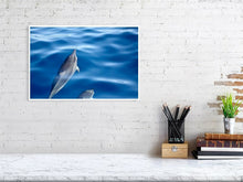 Load image into Gallery viewer, 4636987-1072766

