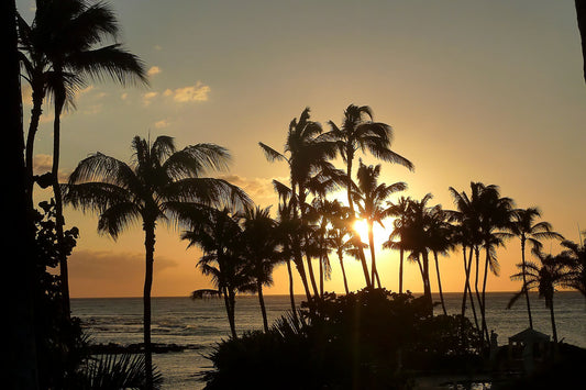 Brillante puesta de sol y palmeras en Hawaii