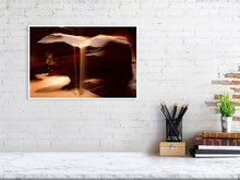 Load image into Gallery viewer, 4678823-1083277
