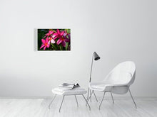 Load image into Gallery viewer, 4643571-1073936
