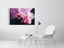 Load image into Gallery viewer, 4643559-1073909
