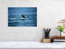 Load image into Gallery viewer, 4636995-1072791
