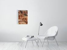 Load image into Gallery viewer, 4678761-1083225
