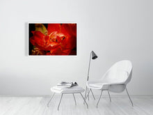 Load image into Gallery viewer, 4643578-1073955
