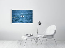 Load image into Gallery viewer, 4636998-1072803
