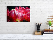 Load image into Gallery viewer, 4643562-1073917
