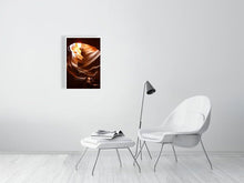 Load image into Gallery viewer, 4678821-1083301
