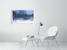 Load image into Gallery viewer, 4645077-1074168
