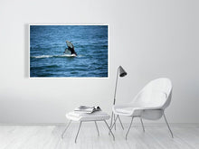 Load image into Gallery viewer, 4636995-1072794
