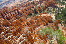 Load image into Gallery viewer, Bryce Canyon I
