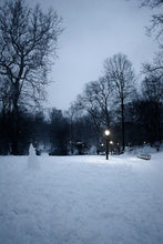 Load image into Gallery viewer, Lonely snowman in Central Park at night
