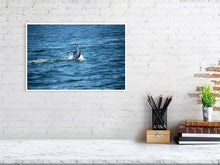 Load image into Gallery viewer, 4636998-1072801
