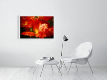 Load image into Gallery viewer, 4643577-1073950
