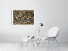 Load image into Gallery viewer, 4678801-1083174
