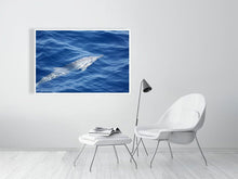 Load image into Gallery viewer, 4636979-1072754
