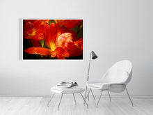 Load image into Gallery viewer, 4643577-1073949
