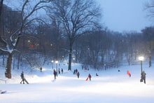 Load image into Gallery viewer, Sleds in Central Park
