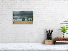 Load image into Gallery viewer, 4678792-1083157
