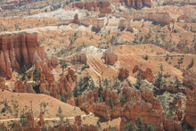 Load image into Gallery viewer, Bryce Canyon close up
