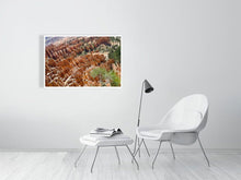 Load image into Gallery viewer, 4678760-1083044
