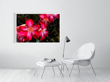 Load image into Gallery viewer, 4643531-1073884

