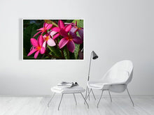Load image into Gallery viewer, 4643571-1073934

