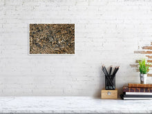 Load image into Gallery viewer, 4678801-1083177
