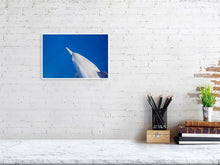 Cargar imagen en el visor de la galería, 4636982-1072755
